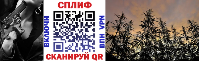 Бошки Шишки план  мега зеркало  Мезень 